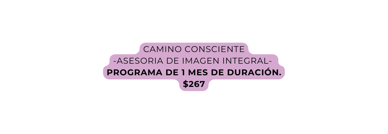 CAMINO CONSCIENTE ASESORIA DE IMAGEN INTEGRAL PROGRAMA DE 1 MES DE DURACIÓN 267